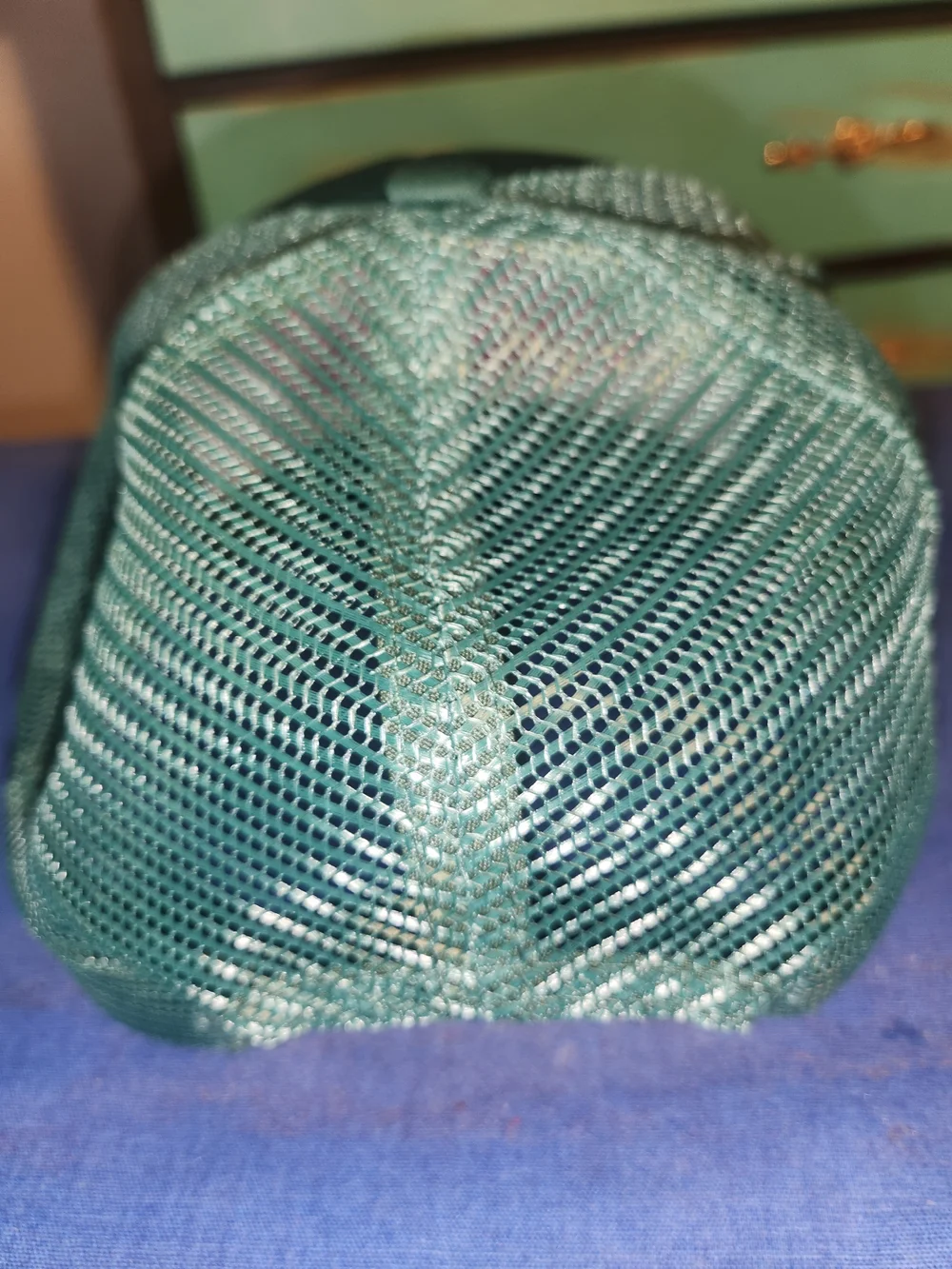 Green 'Day Drinking' Embroidered Trucker Hat